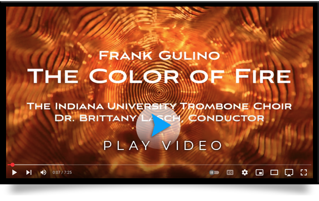 The Color of Fire by Frank Gulino